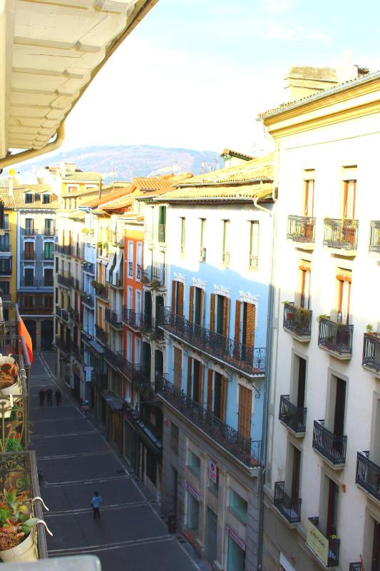 Duplex  Apartment- Plaza del Castillo Side View image 4