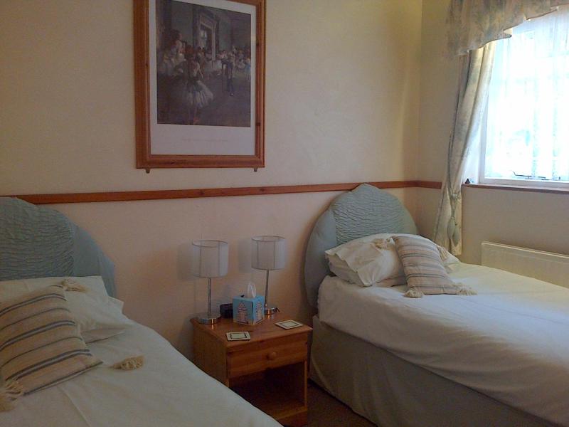 Twin Room image 3