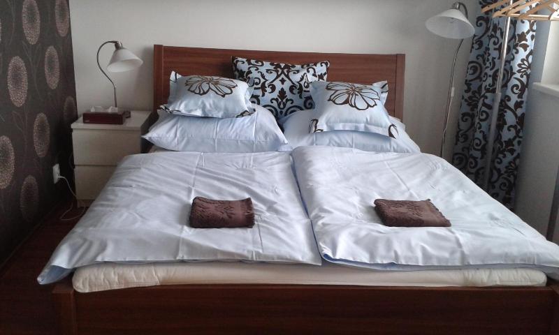 Apartmán Drahovice - image 21