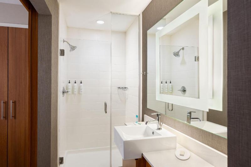 Deluxe King Suite image 4