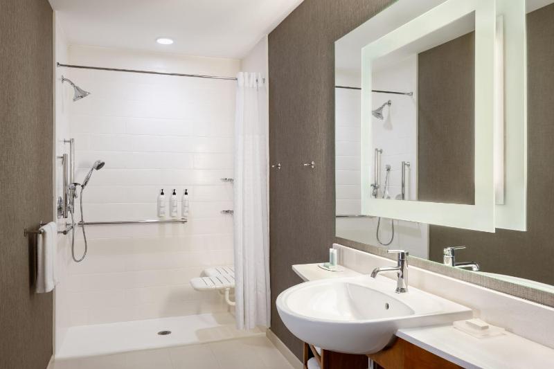 Deluxe King Suite image 3