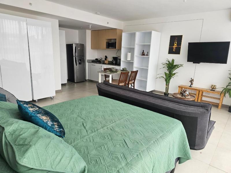 Tropical Vista iFreses 2nd floor! AC TV and Pool - image 8