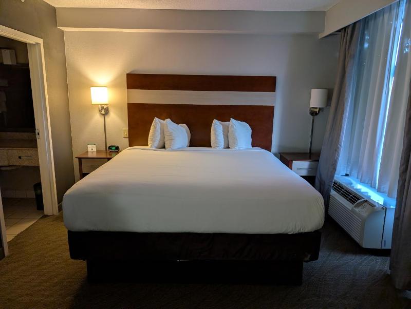 Junior King Suite - Non-Smoking image 4