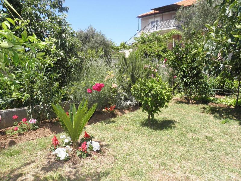 Apartments Zvone - image 18