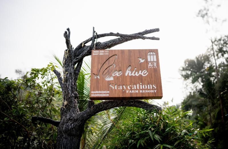 Beehive staycations - image 18