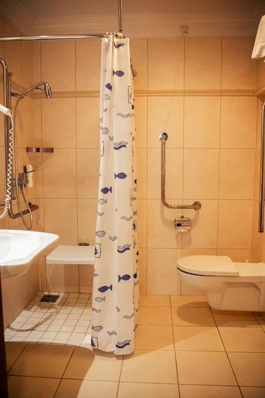 Single Room - Disability Access image 4