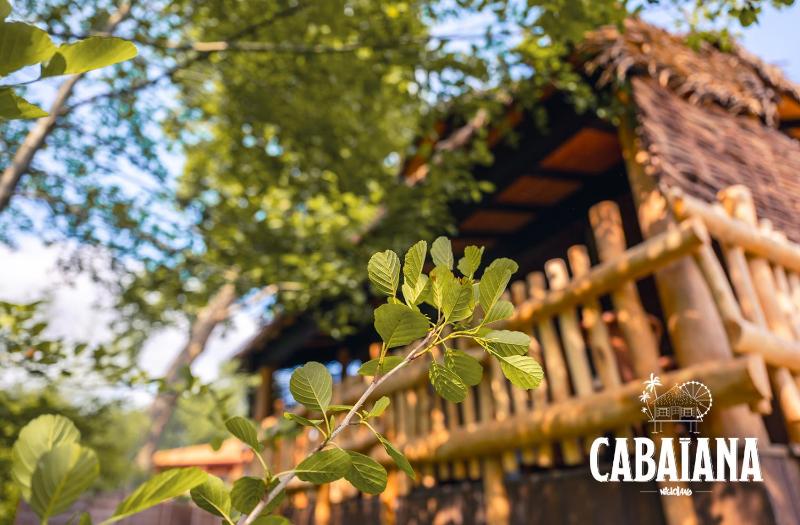 Suite with River View image 1