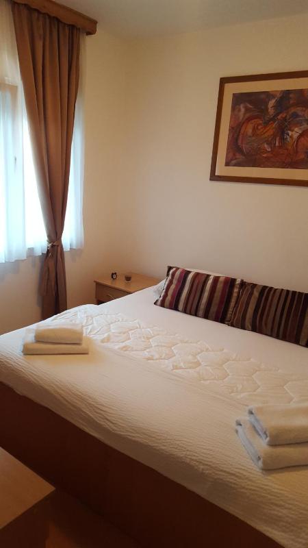 Comfort Single Room image 3