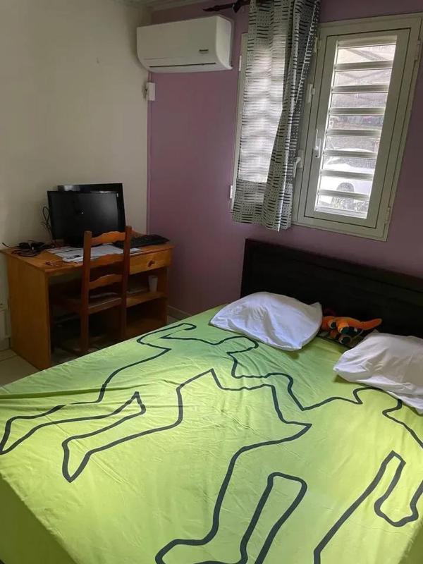 Maison spacieuse à Sainte-Luce 220 m² avec jardin - image 10