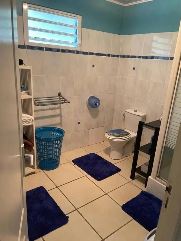 Maison spacieuse à Sainte-Luce 220 m² avec jardin - image 15