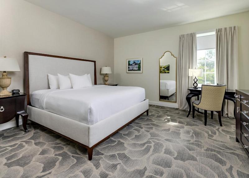 Deluxe King Room image 4