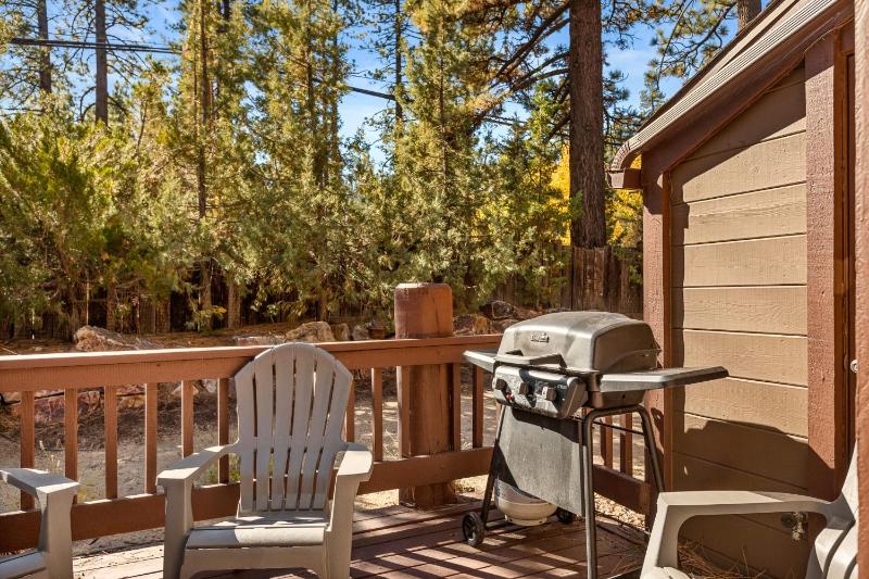 BIg Bear G5 Getaway - image 13