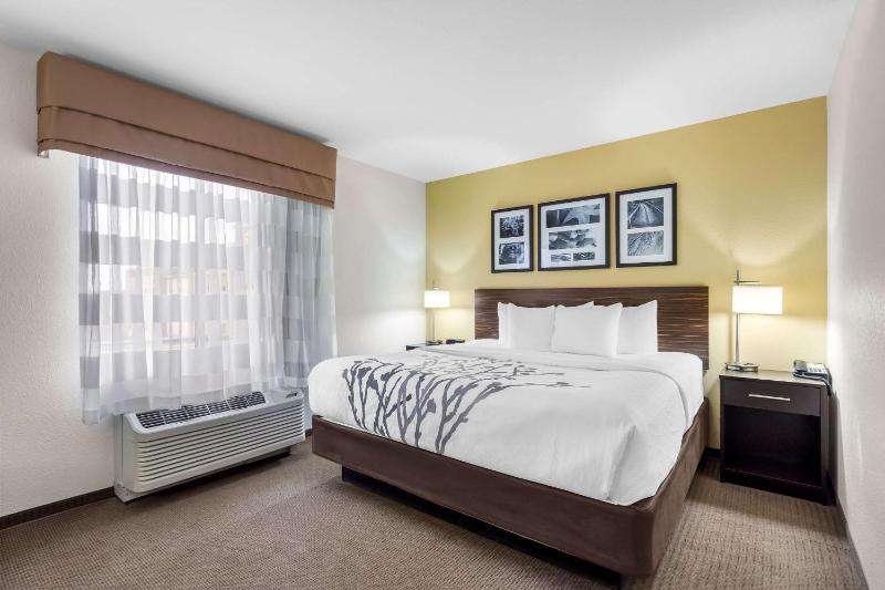 King Room image 1