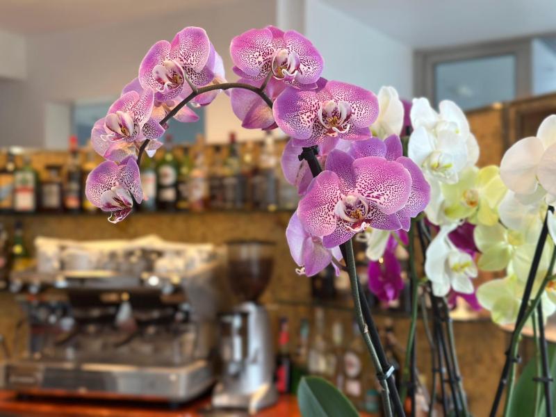 Club House Hotel - image 14