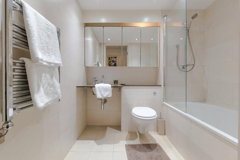 One-Bedroom Apartment image 2