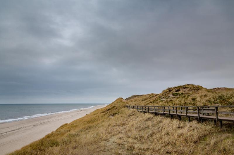 FeWo „Sylter Heide“ (1-4 Pers.) image 4