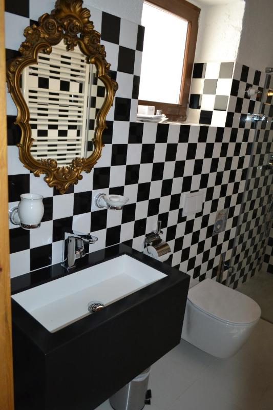 One-Bedroom Apartment image 4