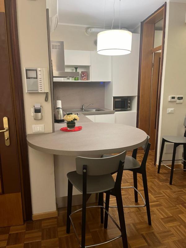 One-Bedroom Apartment image 4