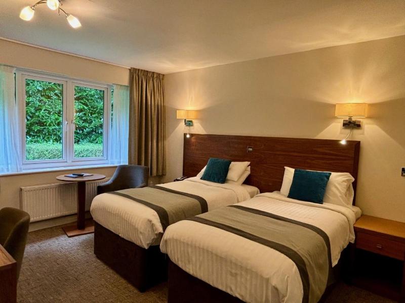 Standard Twin Lodge image 3
