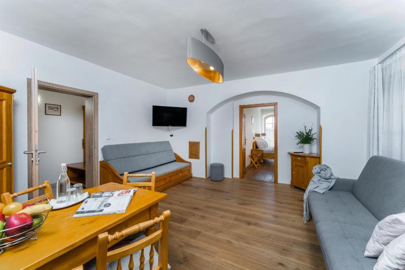 Large One-Bedroom Apartment Superior  image 3