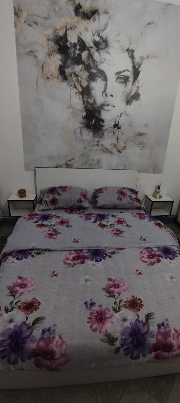 One-Bedroom Apartment image 3