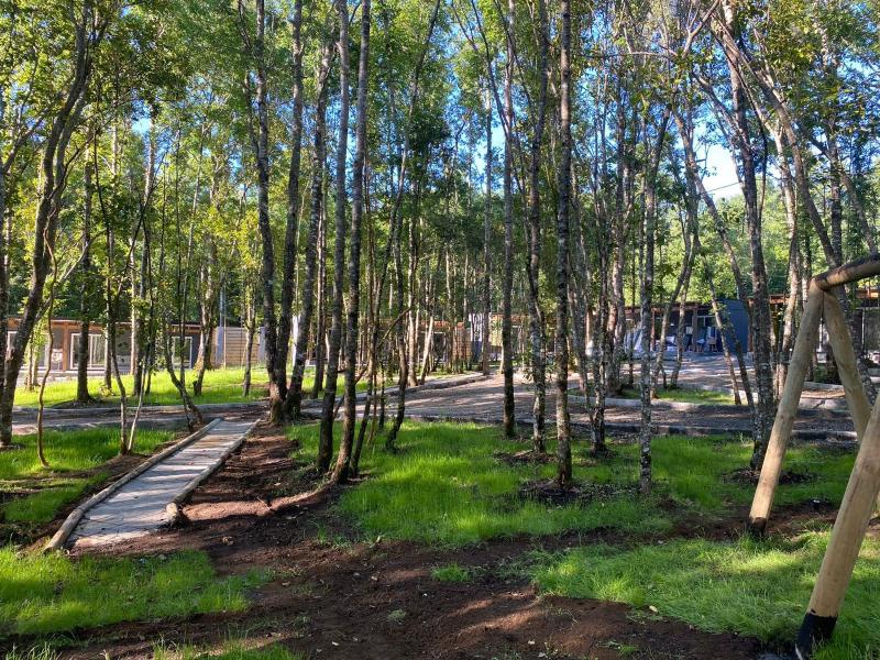 Boker Tov Pucón - image 37