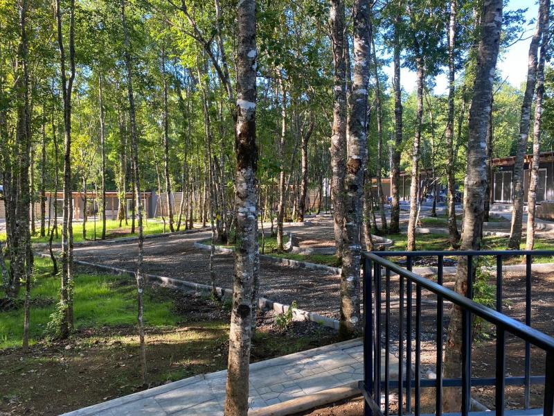 Boker Tov Pucón - image 7