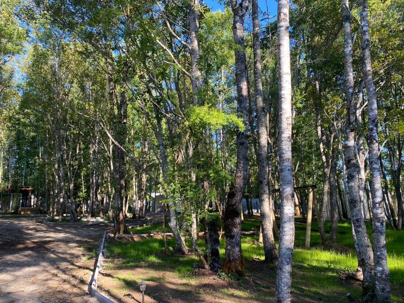 Boker Tov Pucón - image 49