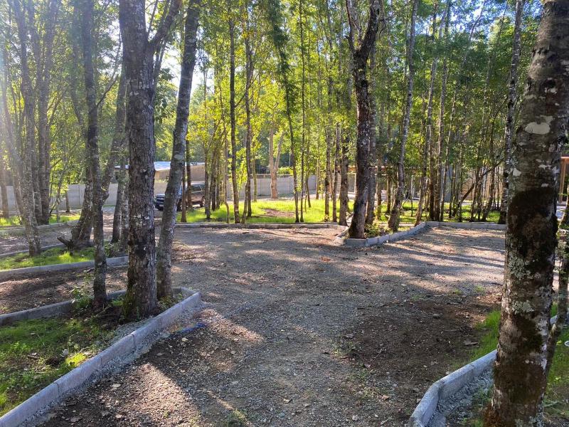 Boker Tov Pucón - image 29