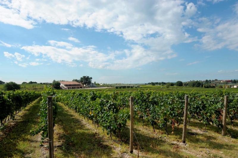 Tenuta La Cà - image 41
