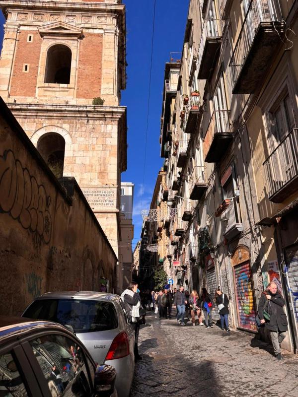 One-bedroom Loft Apartment  image 1