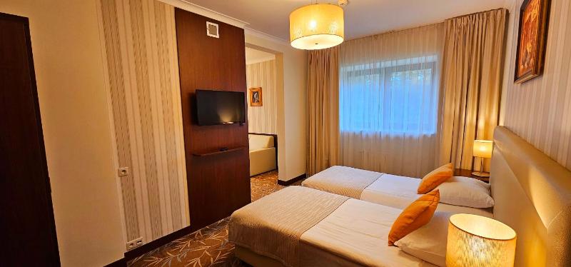 Business Double or Twin Room image 1