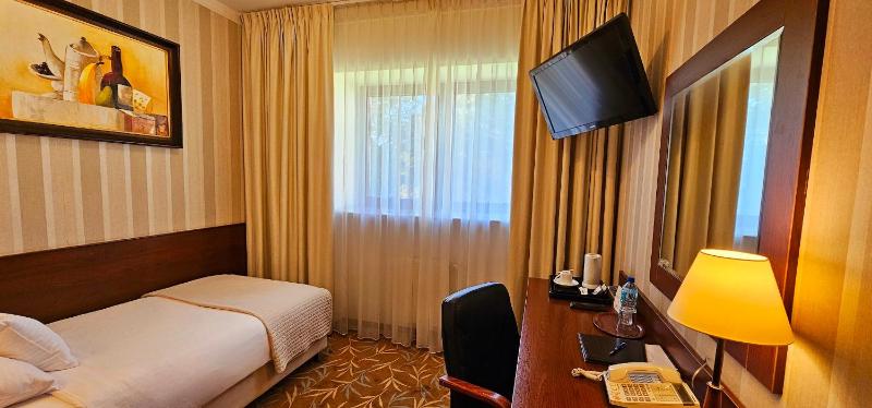 Single Room image 1