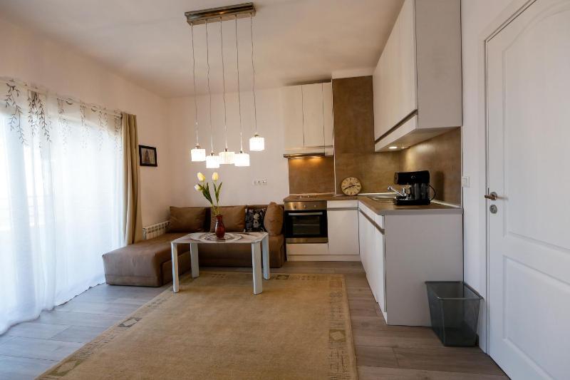Studio with Terrace image 4