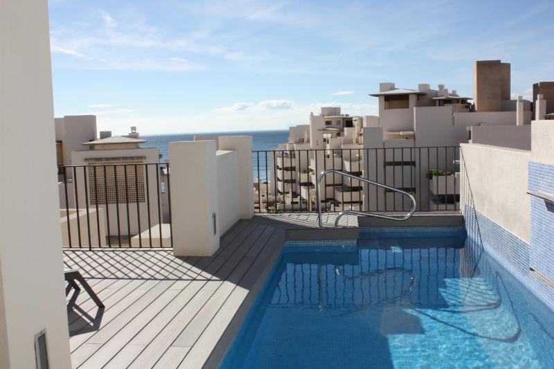 Two-Bedroom Penthouse Apartment with Private Pool image 3