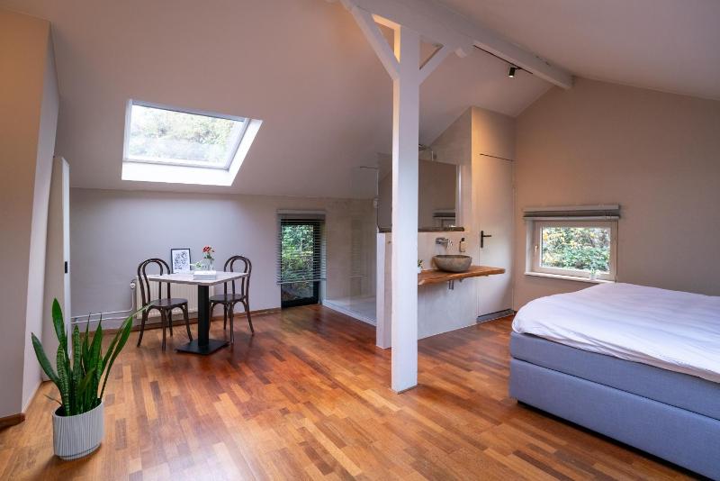 Superior Suite image 4
