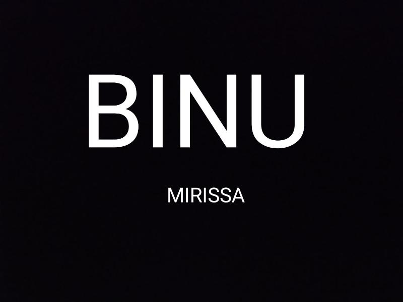 BINU Mirissa - image 14
