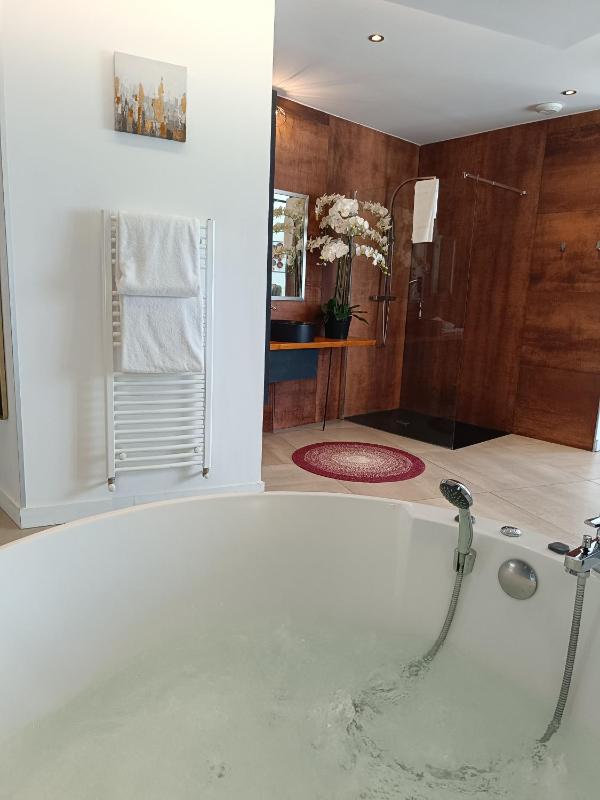 Superior Apartment image 3