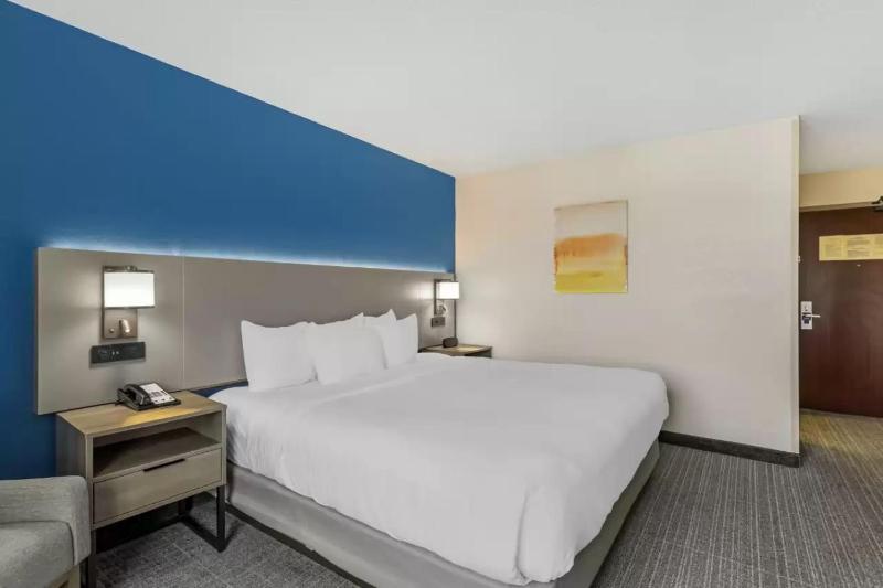 Standard King Room - Non-Smoking  image 3