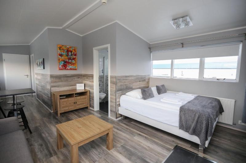 Deluxe One-Bedroom Apartment image 1