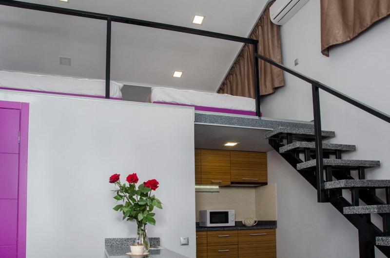 Duplex Apartment image 3