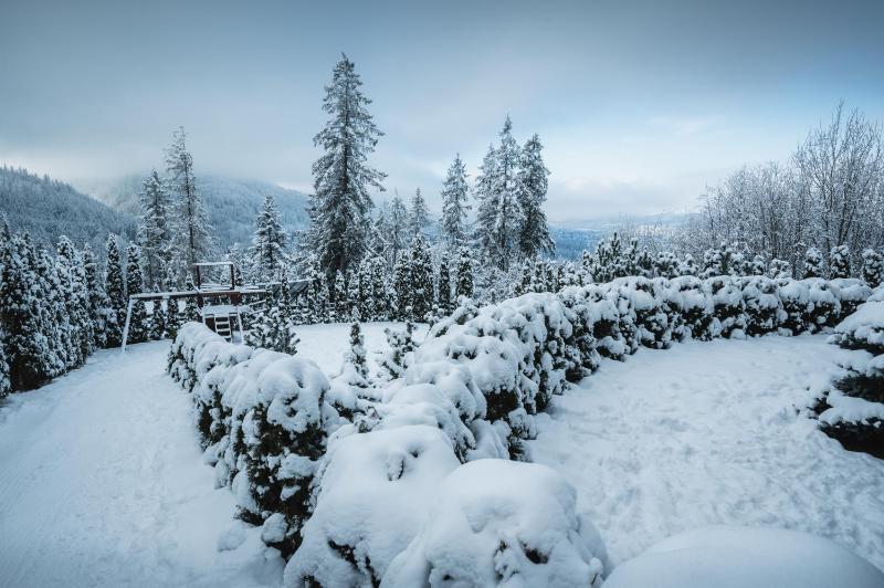 VisitZakopane - Janosik Apartment - image 13