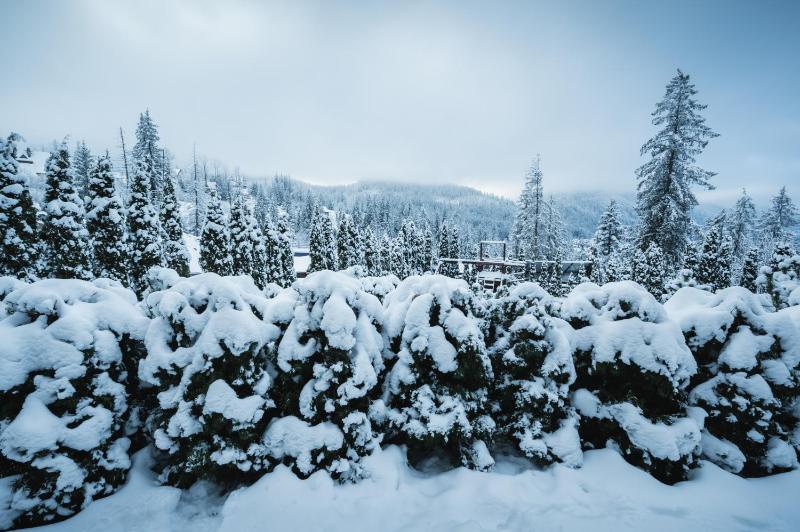 VisitZakopane - Janosik Apartment - image 2