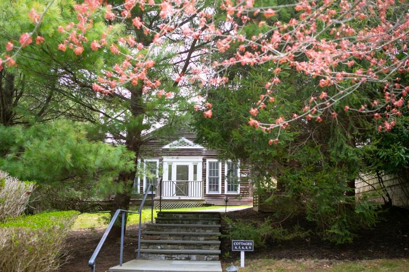 One-Bedroom Cottage image 4