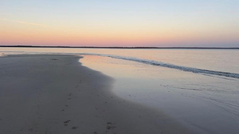 Callala Bay Gem - Jervis Bay - Pet Friendly Getaway with Spa - image 9
