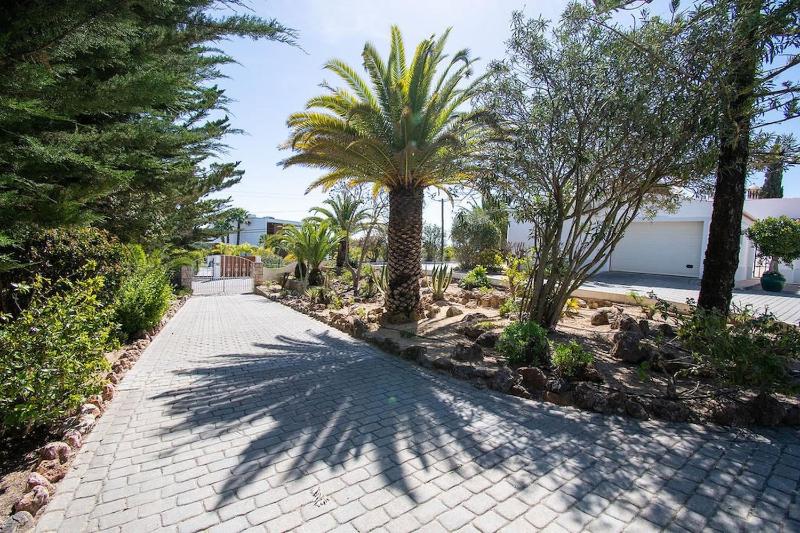 Pomba beautifully renovated with heated pool! - image 19