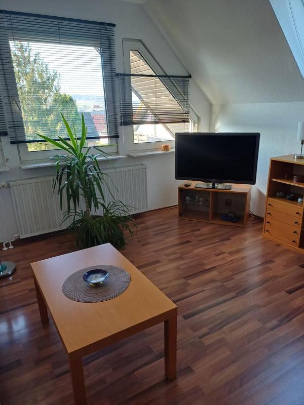 One-Bedroom Apartment image 4