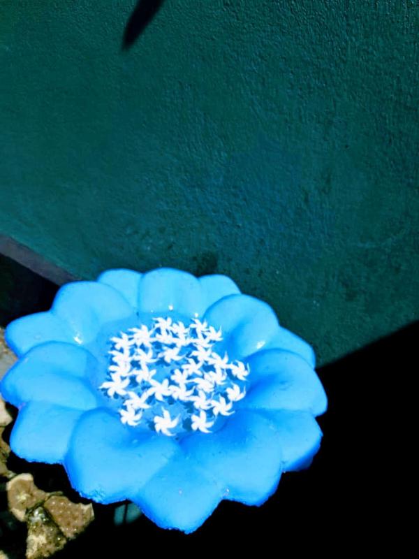 Monara Villa - image 11