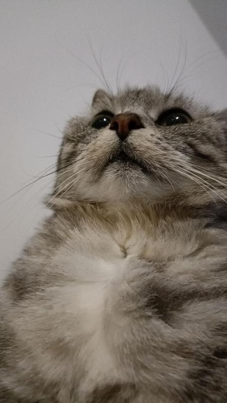 Standard - 1 Double Bed image 4