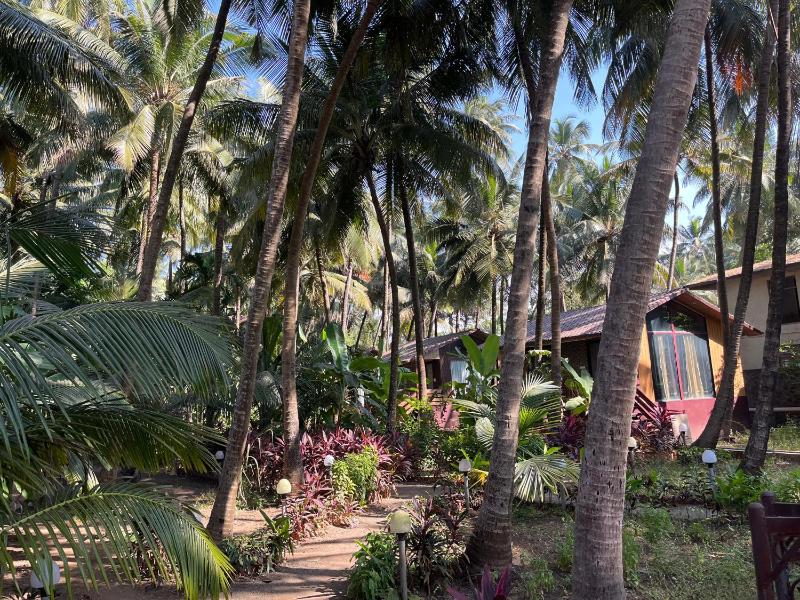 Seaswan resort - image 23